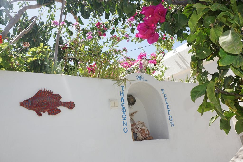 Patmos Maria Studios สกาลา ภายนอก รูปภาพ